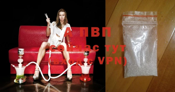 соль ск Богданович