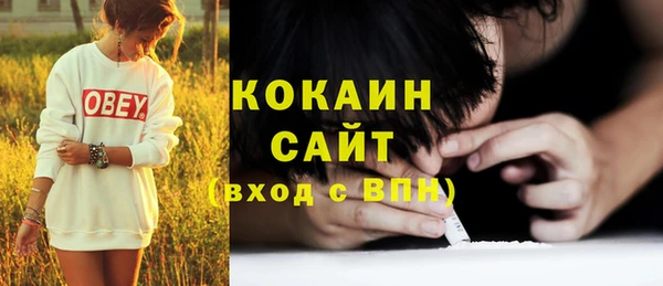 шишки Белокуриха