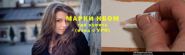 шишки Белокуриха