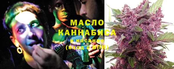 шишки Белокуриха
