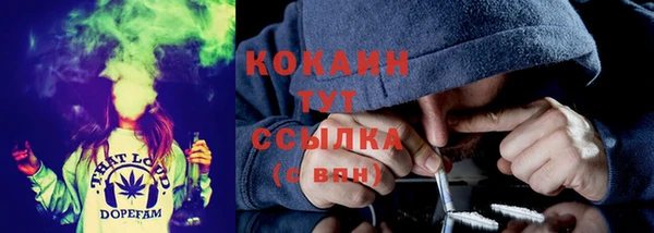 шишки Белокуриха
